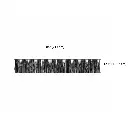 06.webp